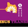 Minibus Transfers & Day Trips